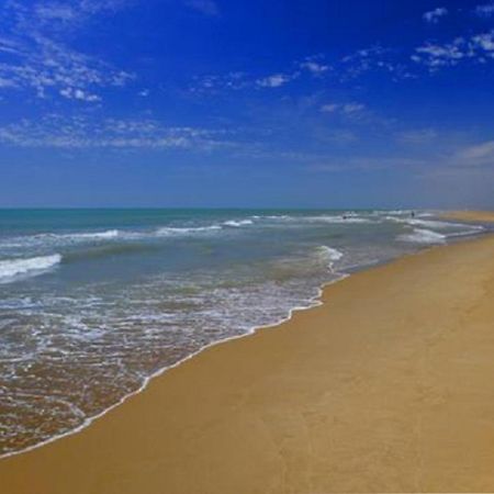 Mas Illa De Riu - Autentica Masia Del Delta Del Ebro Con Capacidad Para 20 Personas - Deltavacaciones Сан-Жауме-де-Энвежа Экстерьер фото