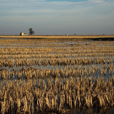 Mas Illa De Riu - Autentica Masia Del Delta Del Ebro Con Capacidad Para 20 Personas - Deltavacaciones Сан-Жауме-де-Энвежа Экстерьер фото