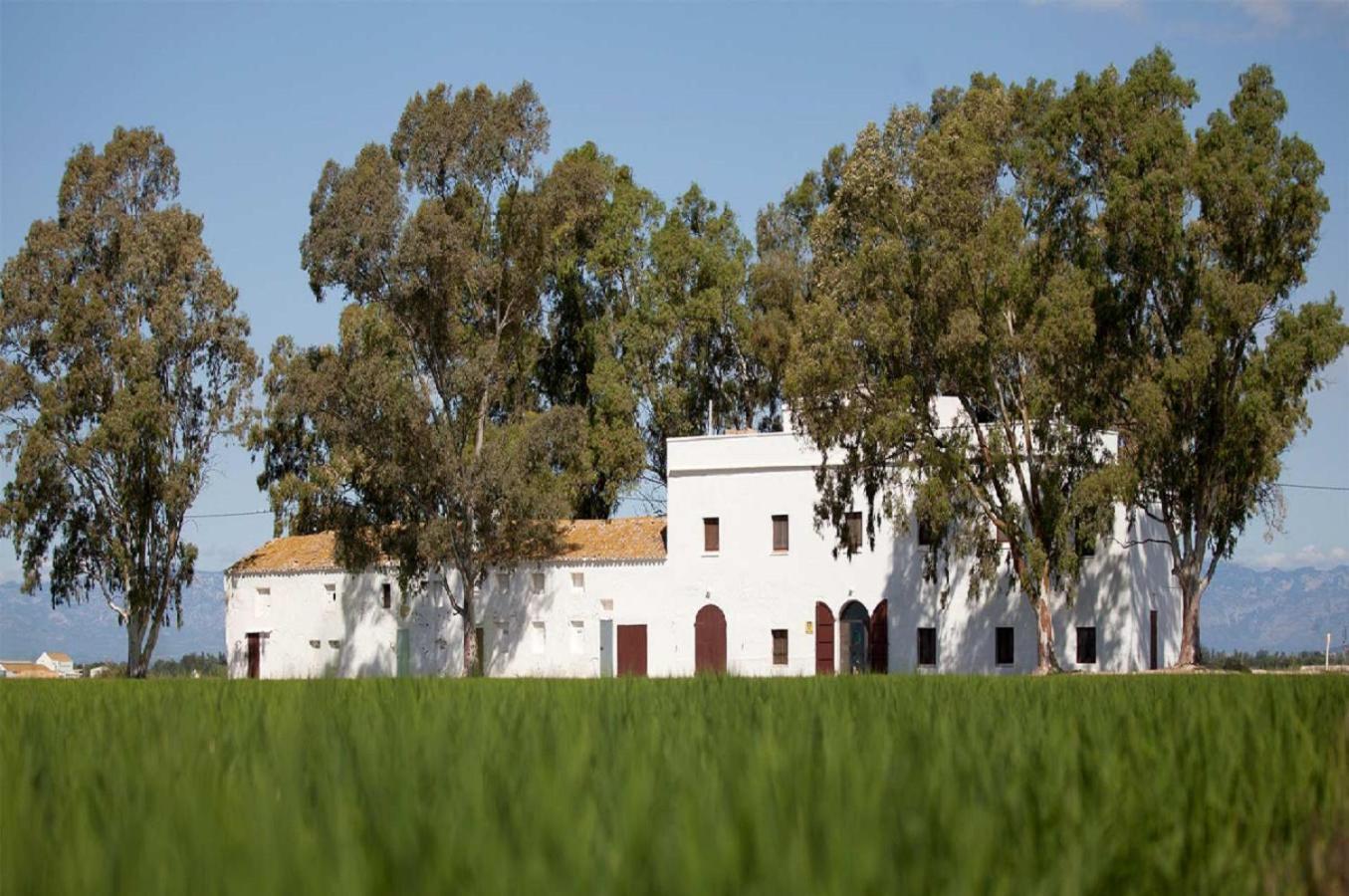 Mas Illa De Riu - Autentica Masia Del Delta Del Ebro Con Capacidad Para 20 Personas - Deltavacaciones Сан-Жауме-де-Энвежа Экстерьер фото