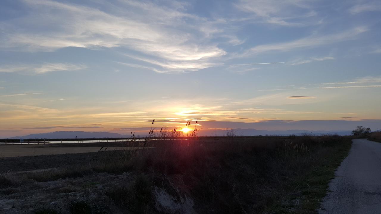 Mas Illa De Riu - Autentica Masia Del Delta Del Ebro Con Capacidad Para 20 Personas - Deltavacaciones Сан-Жауме-де-Энвежа Экстерьер фото