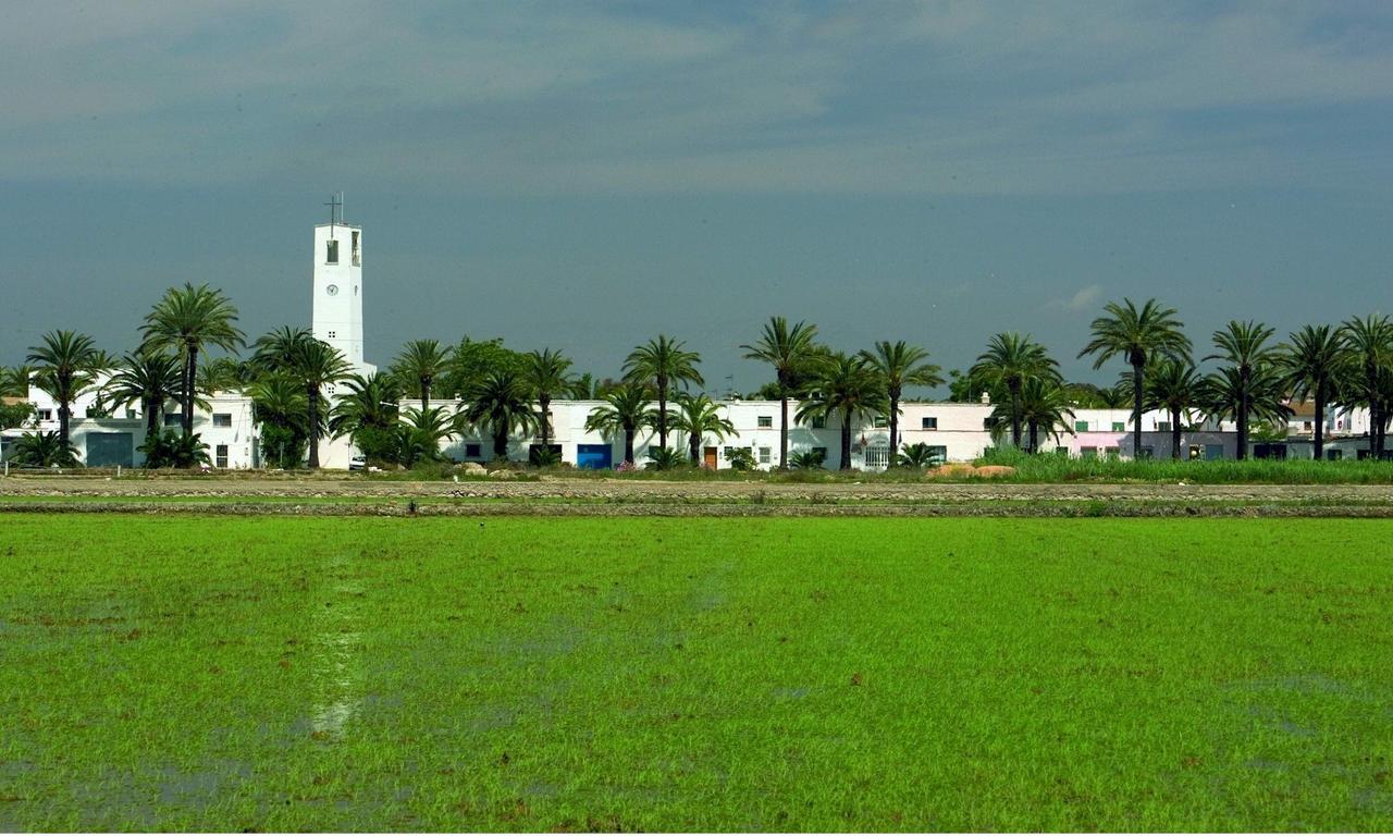 Mas Illa De Riu - Autentica Masia Del Delta Del Ebro Con Capacidad Para 20 Personas - Deltavacaciones Сан-Жауме-де-Энвежа Экстерьер фото