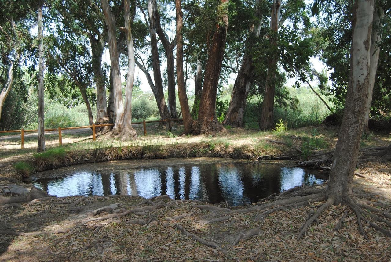 Mas Illa De Riu - Autentica Masia Del Delta Del Ebro Con Capacidad Para 20 Personas - Deltavacaciones Сан-Жауме-де-Энвежа Экстерьер фото