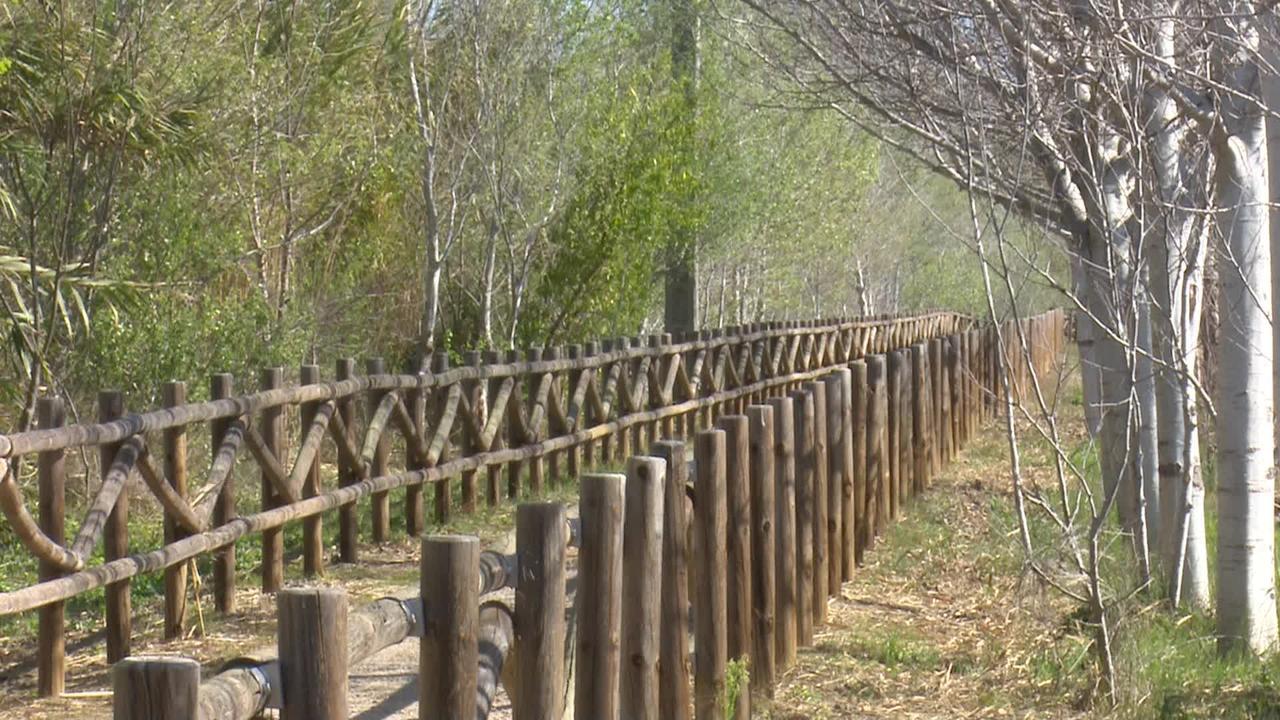 Mas Illa De Riu - Autentica Masia Del Delta Del Ebro Con Capacidad Para 20 Personas - Deltavacaciones Сан-Жауме-де-Энвежа Экстерьер фото